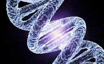Az emberi genom idegen eredetű géneket is tartalmaz egy tanulmány szerint