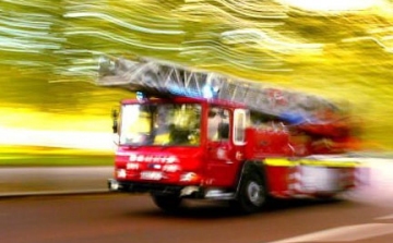 Három tűzoltóautó vonult ki egyetlen mókus mentéséhez egy brit városban
