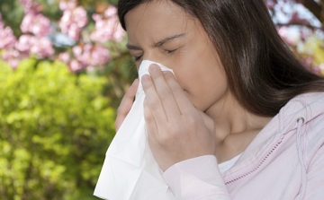 ÁNTSZ: a pázsitfűfélék és a csalánfélék okozzák most a legtöbb kellemetlenséget az allergiásoknak
