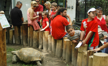 Interaktív tájékoztató rendszer készült a Szegedi Vadaspark látogatói számára