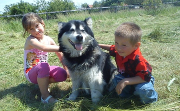 Családi kutyanap és piknik a Szabadság téren