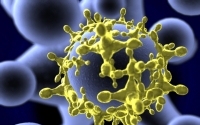 Járványügy - a mediterrán betegségekre kell felkészülnünk