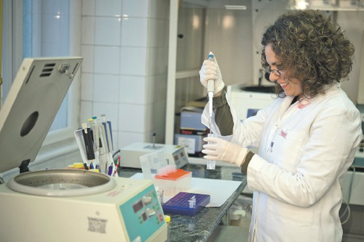 Ősi DNS segített a modern európai ember génállományának feltérképezésében