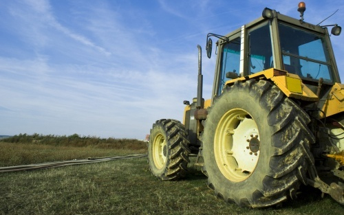 Rekordot dönthet a Németországba irányuló magyar agrárkivitel