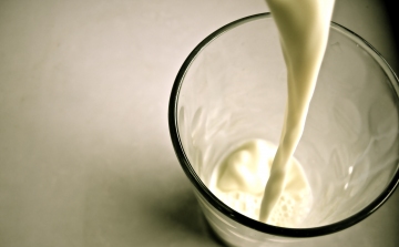 Alacsony zsírtartalmú tej fogyasztásával lassabban nő a felnőtt szervezet biológiai életkora
