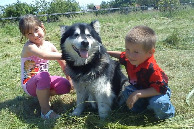 Családi kutyanap és piknik a Szabadság téren