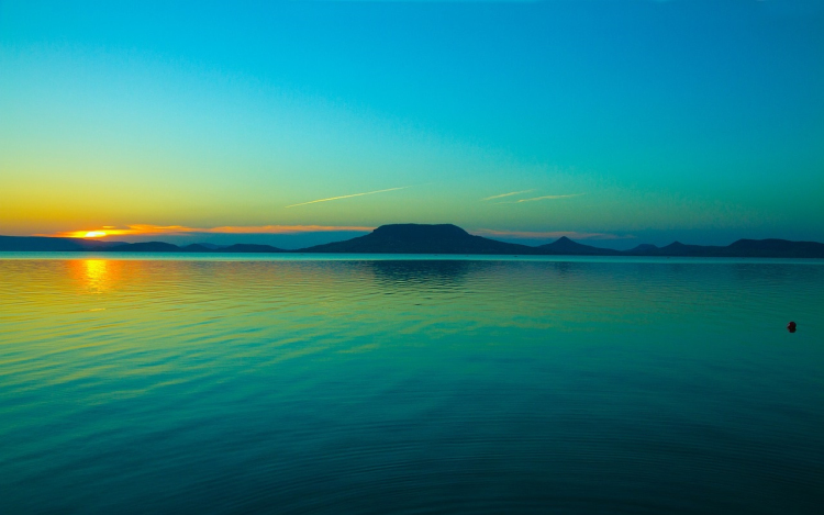 Algásodik a Balatonban