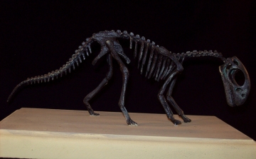 Új dinoszaurusz-kiállítás a Természettudományi Múzeumban