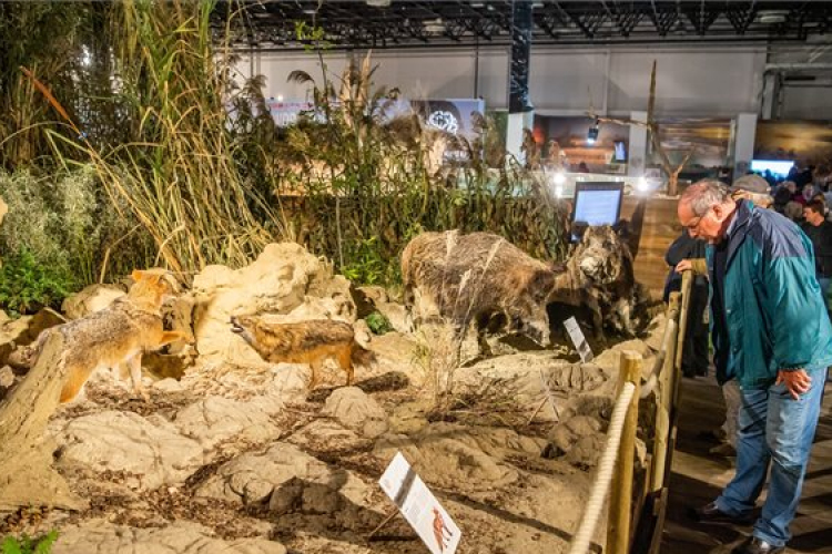 A Hungarikum Gálával véget ért a vadászati világkiállítás