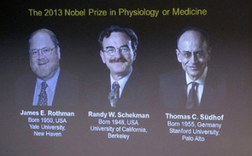 Nobel-díj - Liliom Károly: a fehérjék fontos szerepére világítottak rá a díjazottak