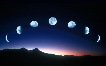 Átfogó felmérés készült a holdvilág állatokra gyakorolt hatásáról