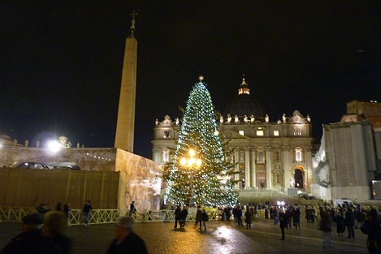 Meggyújtották a fényeket a Szent Péter téri karácsonyfán