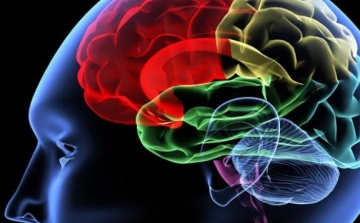 Alzheimert okozhat az agyrázkódás? 