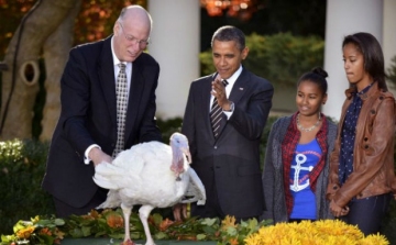 Obama elnök ismét megmentette a késtől a fehér házi hálaadás-napi pulykát