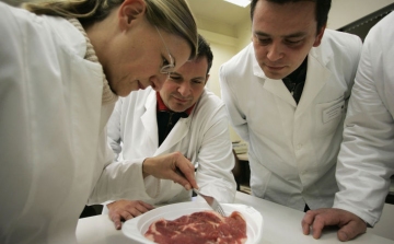 Az első, laboratóriumban tenyészetett hússal töltött hamburgert a héten kóstolják meg