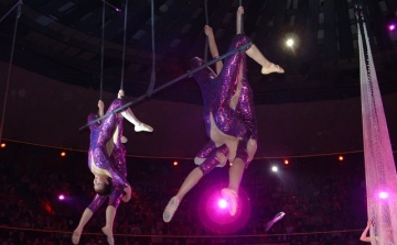 Nemzetközi Cirkuszfesztivált rendeznek a Fővárosi Nagycirkuszban
