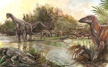 Újabb növényevő dinoszauruszok csontvázát találtak a Hátszegi-medencében