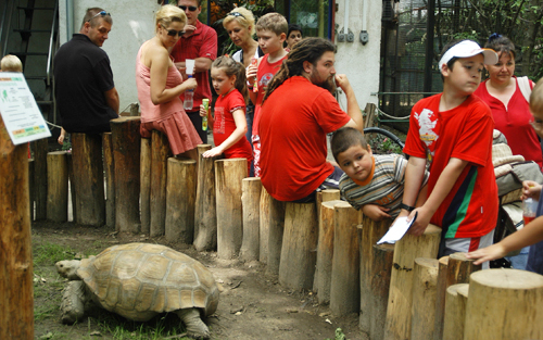 Interaktív tájékoztató rendszer készült a Szegedi Vadaspark látogatói számára