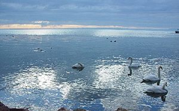 Nyílt napon ismerkedhetnek meg az érdeklődők a Balaton élővilágával